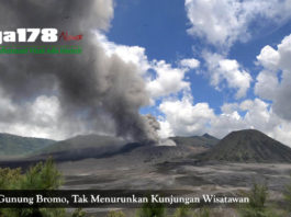 gunung bromo, pvmbg, erupsi, pasca erupsi, liga178 news