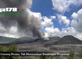 Letusannya Gunung Bromo, Tak Menurunkan Kunjungan Wisatawan gunung bromo, pvmbg, erupsi, pasca erupsi, liga178 news