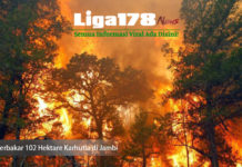 Terbakar 102 Hektare Karhutla di Jambi
