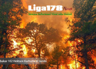 Terbakar 102 Hektare Karhutla di Jambi