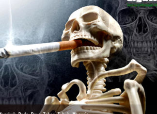 Bahaya Merokok Pada Daya Tahan Tubuh Manusia