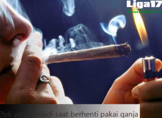 Efek yang terjadi saat berhenti pakai ganja