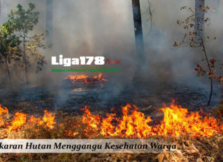 Kebakaran Hutan Menggangu Kesehatan Warga kabut asap, karhutla, warga, liga178 news