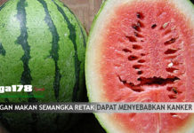 SEMANGKA RETAK DAPAT MENYEBABKAN KANKER Semangka, Kimia, Kanker, Liga178news