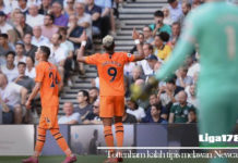 Tottenham kalah tipis melawan Newcastle Tottenham, Newcastle, Premier Leaugue, Liga178 News