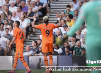 Tottenham kalah tipis melawan Newcastle Tottenham, Newcastle, Premier Leaugue, Liga178 News