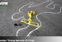 Di Temukan Tulang Manusia Di Priok