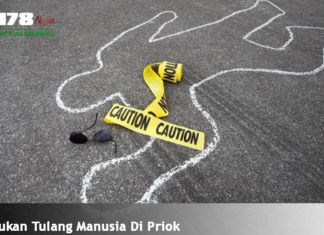 Di Temukan Tulang Manusia Di Priok