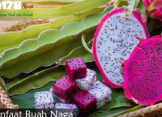 3 Manfaat Buah Naga