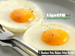 Sarapan Sehat, Sarapan Telur, Telur, Kandungan Telur, Liga178 News