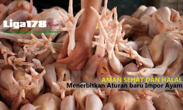 Ekspor dan Impor, masyarakat Indonesia, produk ayam, Liga178 News