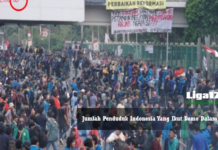 Jumlah Penduduk Indonesia Yang Ikut Demo Dalam Medsos