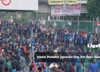 Jumlah Penduduk Indonesia Yang Ikut Demo Dalam Medsos