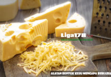 Alasan Bentuk Keju Mengapa Berlubang Keju, Keju Swiss, Kuliner, Lubang Keju, Liga178 News