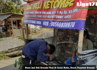 Bisnis Jual Beli Ketombe Viral Di Sosial Media, Kenali Penyebab Ketombe Ketombe, Netizen, Jual Beli Ketombe, Liga178 News