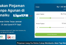 Pinjaman Uang Via Online Cukup Membantu Akan Tapi Berisiko OJK, Fintech, Pinjaman Uang Online, Pinjaman Uang, Liga178 News