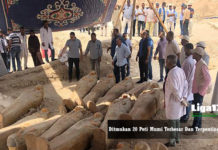 Ditmukan 20 Peti Mumi Terbesar Dan Terpenting Di Mesir