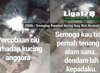 VIRAL : Terungkap Penyebab Kucing Yang Mati Dicekoki Ciu