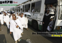Bus Rombongan Umrah Tabrakan, 35 Orang Tewas kecelakan, bus rombongan Umrah, Madinah, Liga178 News