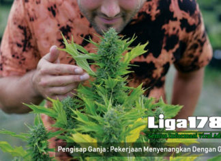 Pengisap Ganja : Pekerjaan Menyenangkan Dengan Gaji 500jt