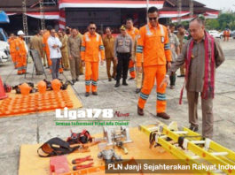 PLN, Zulkifli Zaini, Bumn, Listrik, Liga178 News