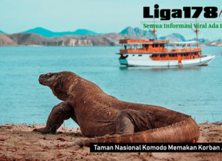 Taman Nasional Komodo Memakan Korban Jiwa ZaidAzuna, Taman Nasional Komodo, Malaysia, wisatawan, LabuanBajo