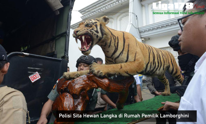 Lamborghini, Harimau Sumatera, Polda Metro Jaya, Senjata Api, Liga178 News