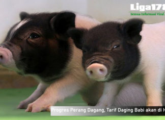 Progres Perang Dagang, Tarif Daging Babi akan di Hapus China, Daging Babi, America Serikat, Libur Natal, Liga178 News