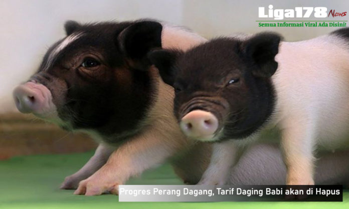 China, Daging Babi, America Serikat, Libur Natal, Liga178 News