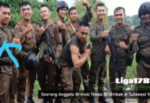 Seorang Anggota Brimob Tewas Di tembak di Sulawesi Tengah DPO MIT, pimpinan Danki, Sekat Alfa, meninggal, Sulawesi Tengah, Liga178 News