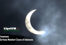 Fenomena Gerhana Matahari Cincin di Indonesia Gerhana Matahari Cincin, Fenomena alam, magnitude, Liga178 News
