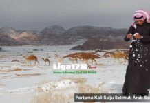 Pertama Kali Salju Selimuti Arab Saudi Salju, Arab Saudi, Fenomena Alam, Fenomena Cuaca, Liga178 News