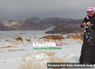 Pertama Kali Salju Selimuti Arab Saudi Salju, Arab Saudi, Fenomena Alam, Fenomena Cuaca, Liga178 News