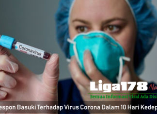Respon Basuki Terhadap Virus Corona Dalam 10 Hari Kedepan Respon Basuki Terhadap Virus Corona Dalam 10 Hari Kedepan