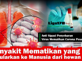 virus corona, Republik Rakyat Tiongkok, penularan, Liga178 News