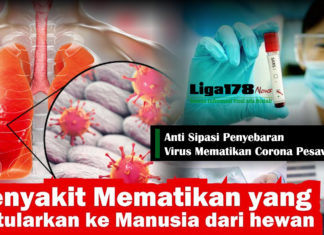 Anti Sipasi Penyebaran Virus Mematikan Corona Untuk Pesawat virus corona, Republik Rakyat Tiongkok, penularan, Liga178 News