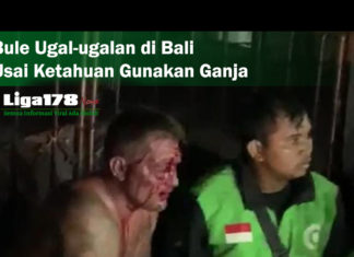 Bule Ugal-ugalan di Bali Usai Ketahuan Gunakan Ganja Bule, menabrak, Bali, Liga178 News
