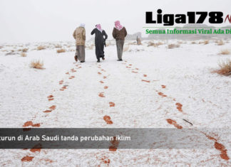 Salju turun di Arab Saudi tanda perubahan iklim Arab saudi, BMKG, Indonesia, Liga178 News