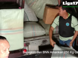 BNN, Narkoba,Pluit, Bareskrim, Liga178 News