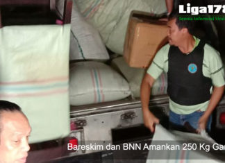 Bareskim dan BNN Amankan 250 Kg Ganja BNN, Narkoba,Pluit, Bareskrim, Liga178 News