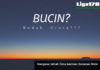 Mengenal Istilah Cinta kekinian Generasi Micin bucin, Baper, Bahasa Indonesia, Bahasa kini, Move On, Liga178 News