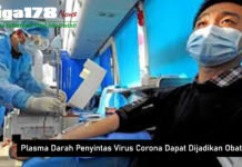 Plasma Darah Penyintas Virus Corona Dapat Dijadikan Obat Plasma Darah Penyintas Virus Corona Dapat Dijadikan Obat
