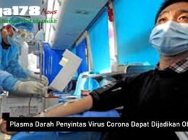 Plasma Darah Penyintas Virus Corona Dapat Dijadikan Obat