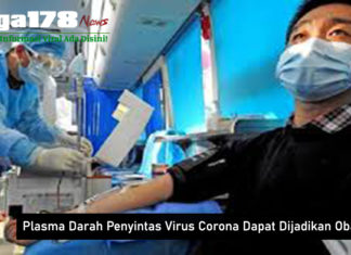 Plasma Darah Penyintas Virus Corona Dapat Dijadikan Obat Plasma Darah Penyintas Virus Corona Dapat Dijadikan Obat