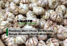 Pasokan dari China Berkurang, Harga Bawang Putih Melonjak kenaikan harga, bawang putih, pembatasan impor, Liga178 News