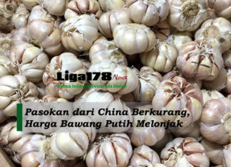 Pasokan dari China Berkurang, Harga Bawang Putih Melonjak kenaikan harga, bawang putih, pembatasan impor, Liga178 News