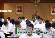 Peserta CPNS 2019 Meningkat Tembus Hingga 3,3 Juta Orang CPNS 2019, BKN, seleksi, Liga178 News