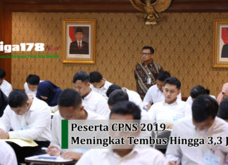 Peserta CPNS 2019 Meningkat Tembus Hingga 3,3 Juta Orang CPNS 2019, BKN, seleksi, Liga178 News