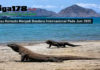 Pulau Komodo Menjadi Bandara Internasional Pada Juni 2020 Pulau Komodo Menjadi Bandara Internasional Pada Juni 2020