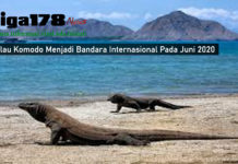 Pulau Komodo Menjadi Bandara Internasional Pada Juni 2020 Pulau Komodo Menjadi Bandara Internasional Pada Juni 2020